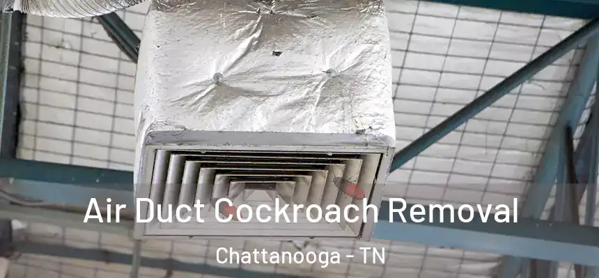  Air Duct Cockroach Removal Chattanooga - TN