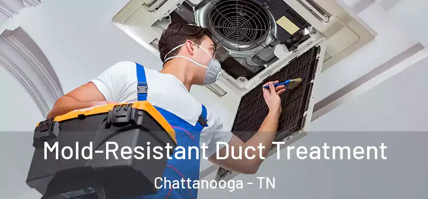  Mold-Resistant Duct Treatment Chattanooga - TN