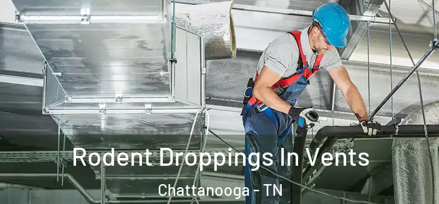  Rodent Droppings In Vents Chattanooga - TN