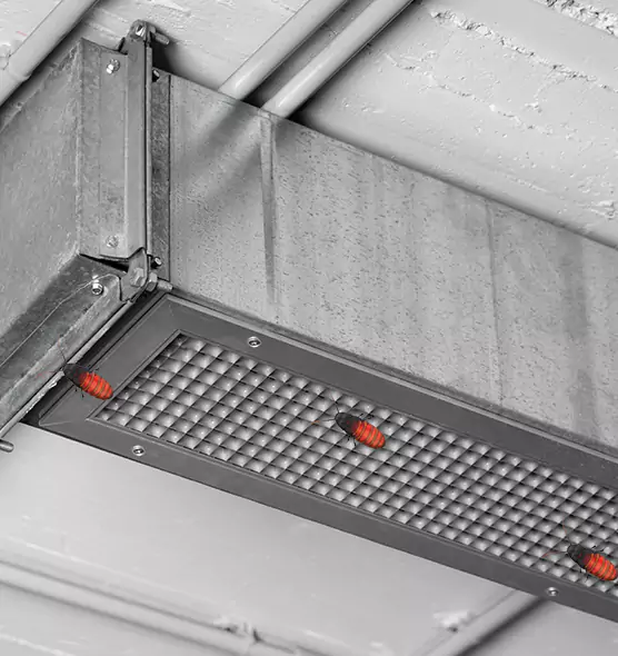 About Air Duct Cockroach Removal in Chattanooga, TN