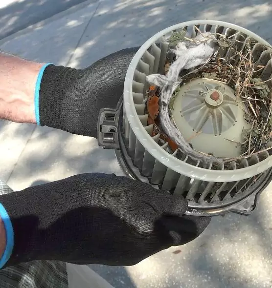 About Air Duct Rat Removal in Chattanooga, TN