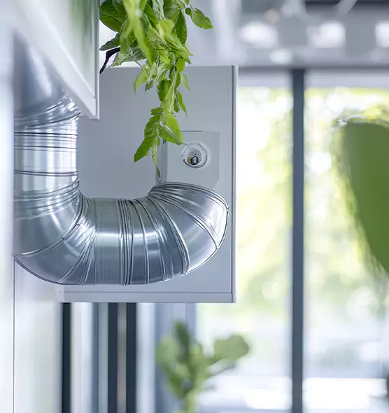 Professional Eco-Friendly Duct Cleaning Services in Chattanooga, TN