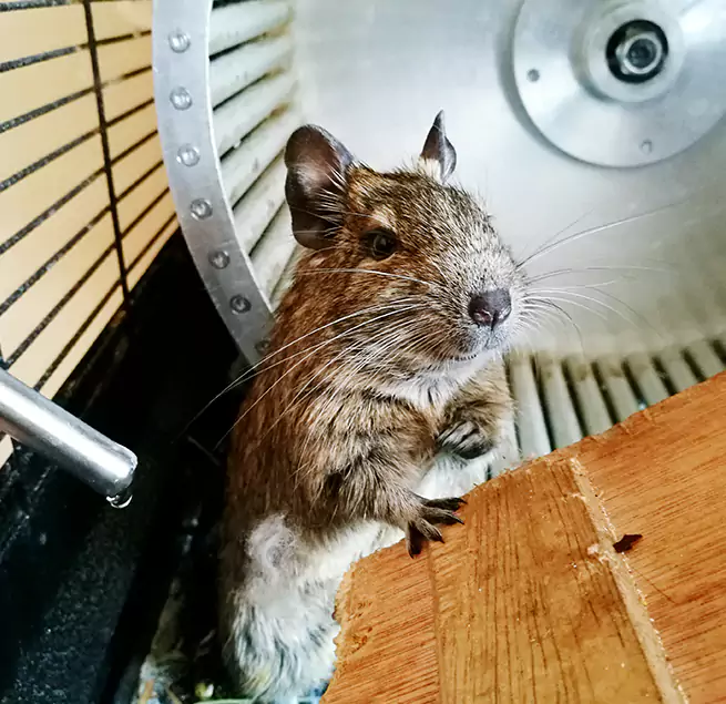 Why Homeowners & Businesses Trust Us Chattanooga, TN