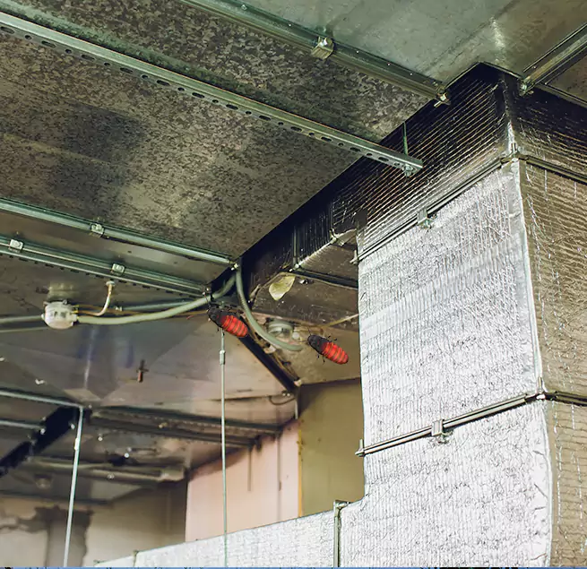 Why Homeowners & Businesses Trust Us Chattanooga, TN?